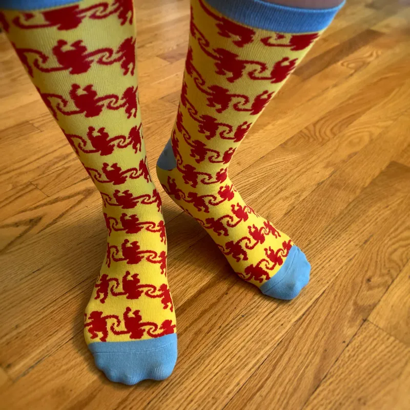 Barrel of Monkeys Socks