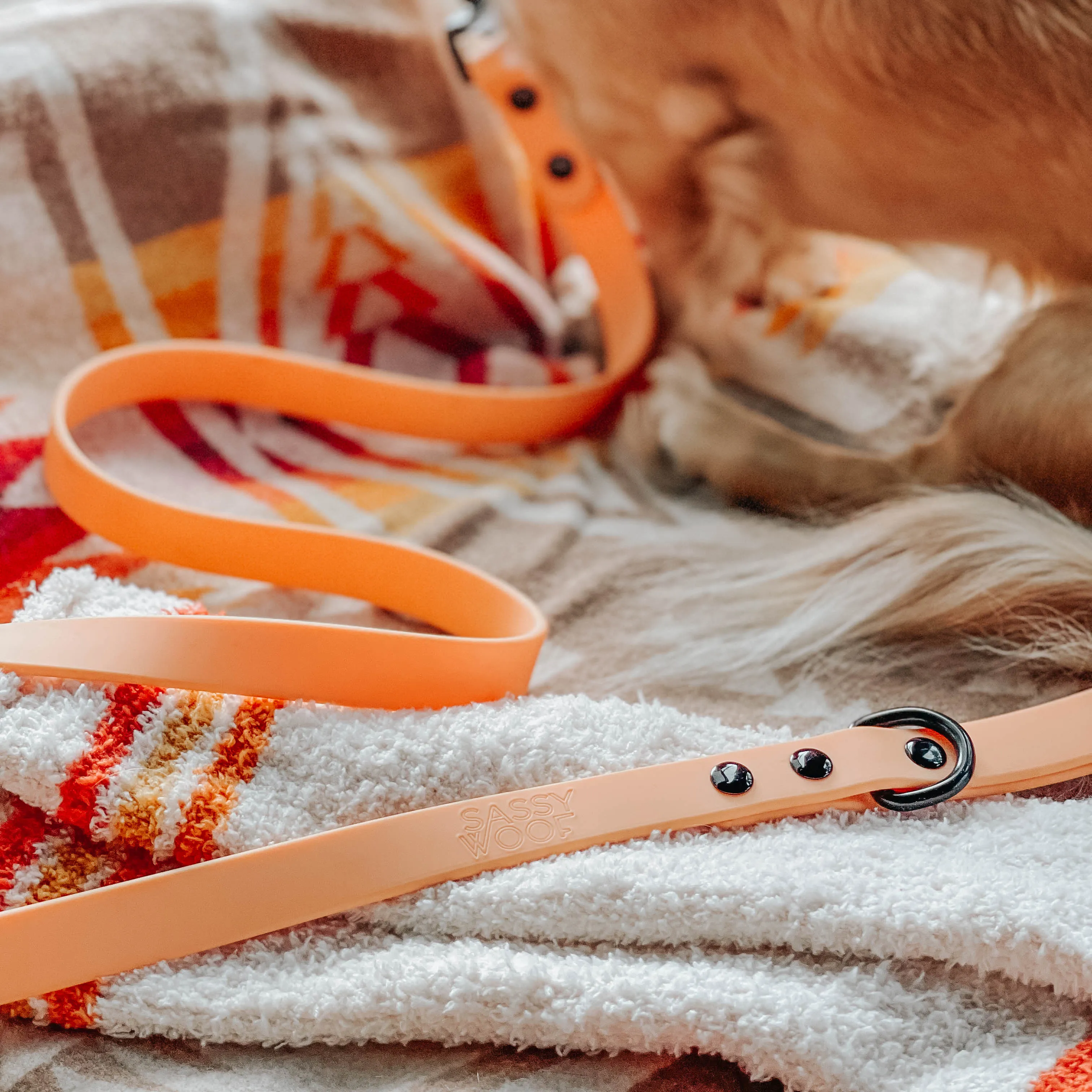 Dog Waterproof Leash - Orange