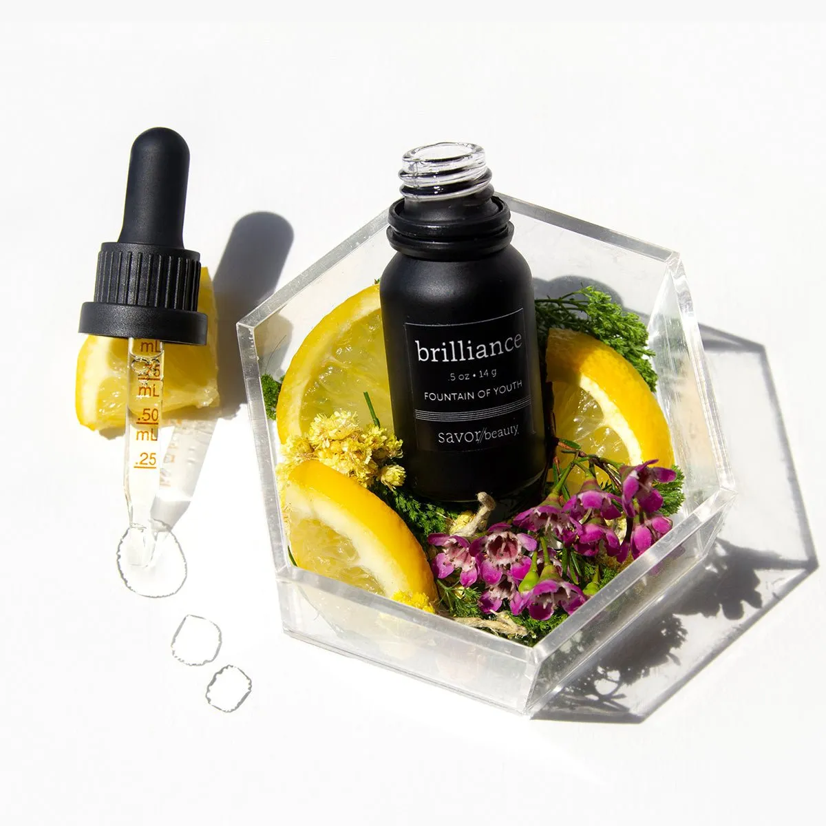 Fountain of Youth: Brilliance Elixir