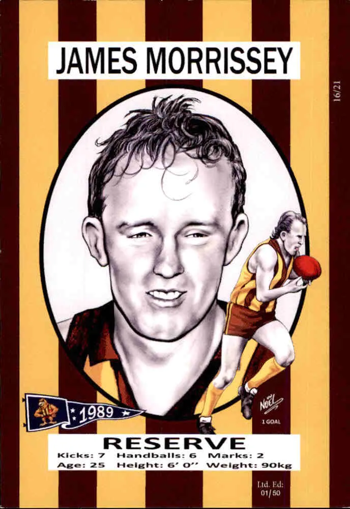 Hawthorn Hawks 1989 Premiers Card Set by Noel