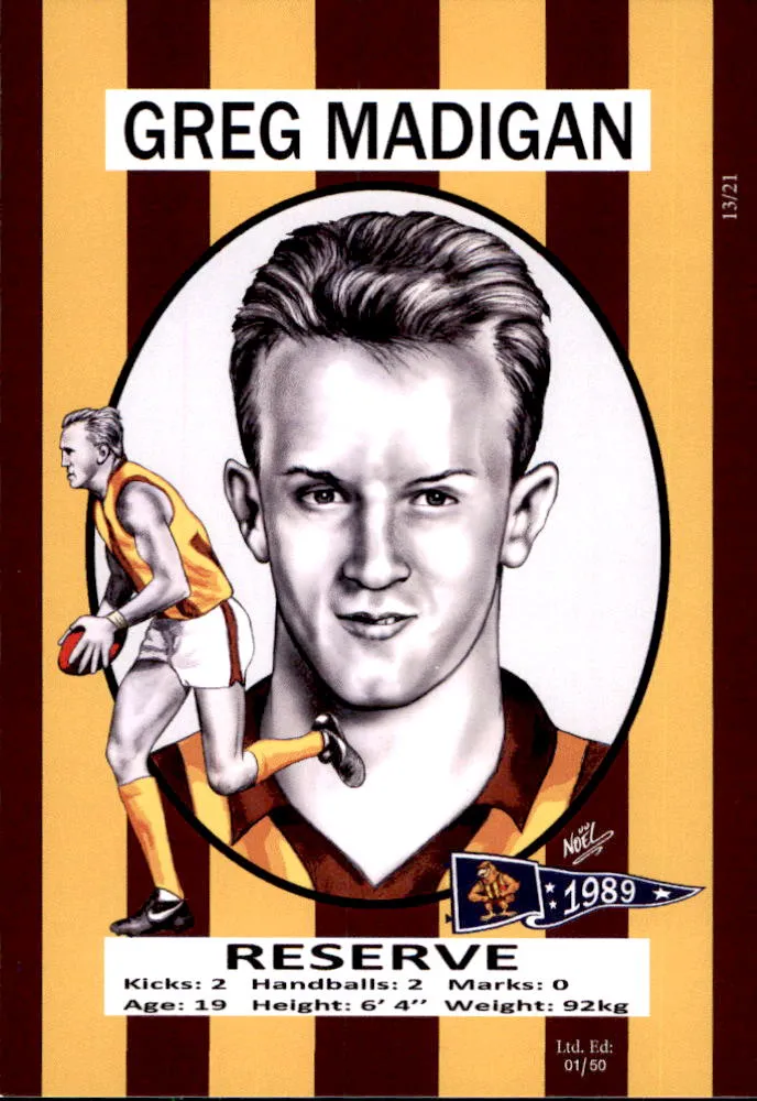 Hawthorn Hawks 1989 Premiers Card Set by Noel