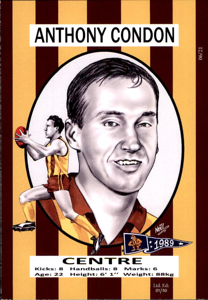 Hawthorn Hawks 1989 Premiers Card Set by Noel