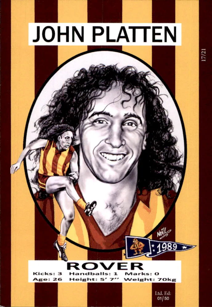 Hawthorn Hawks 1989 Premiers Card Set by Noel