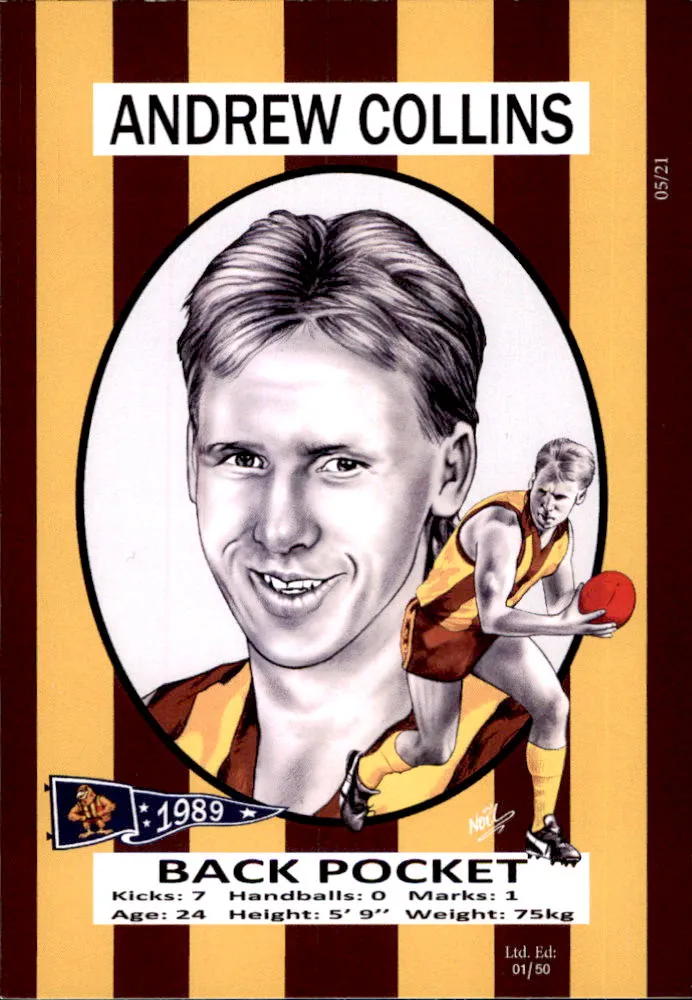 Hawthorn Hawks 1989 Premiers Card Set by Noel