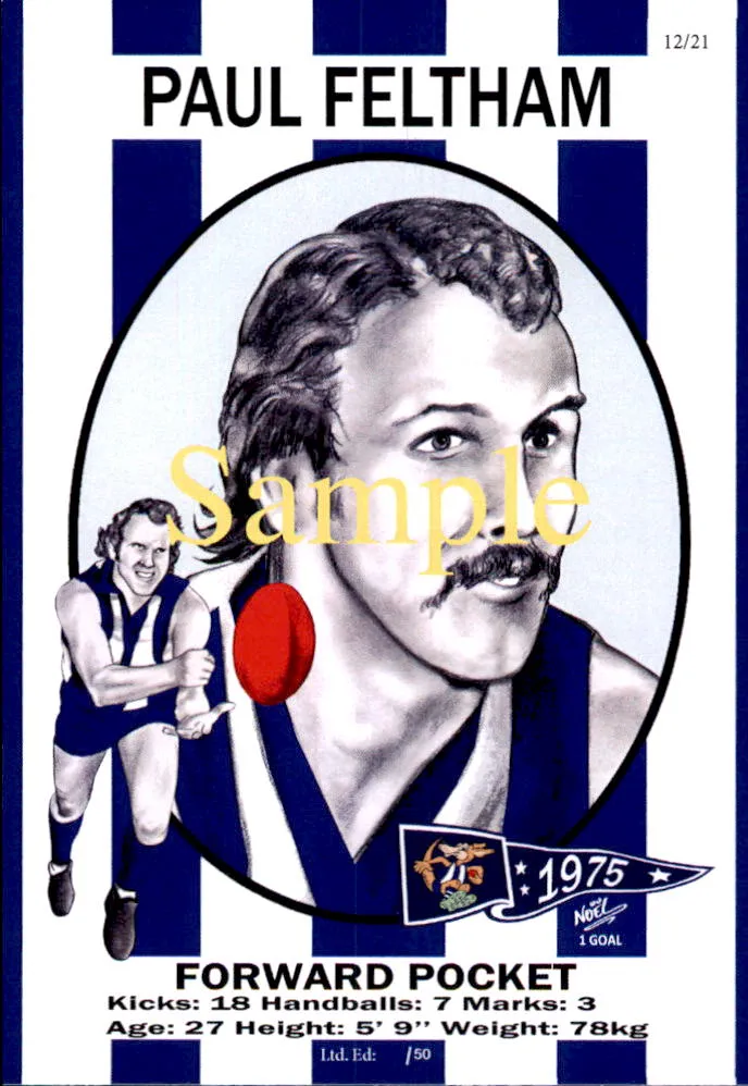 North Melbourne Kangaroos 1975 Premiers Card Set by Noel