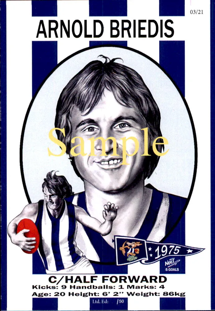 North Melbourne Kangaroos 1975 Premiers Card Set by Noel