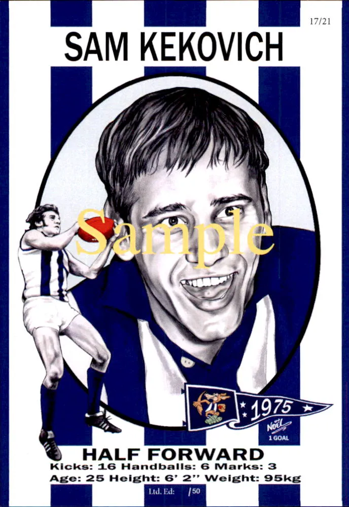 North Melbourne Kangaroos 1975 Premiers Card Set by Noel