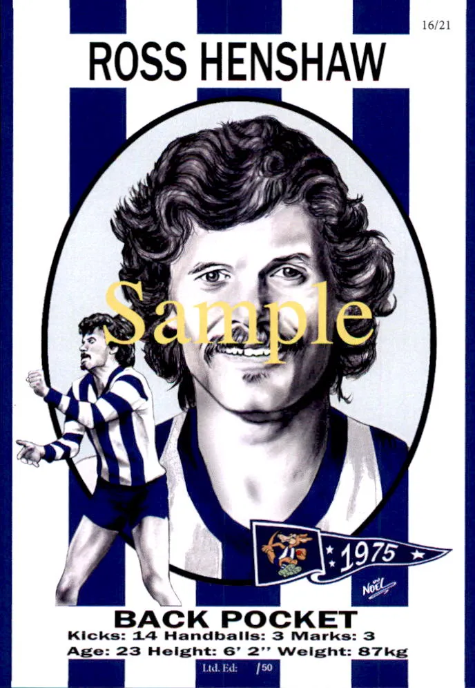 North Melbourne Kangaroos 1975 Premiers Card Set by Noel