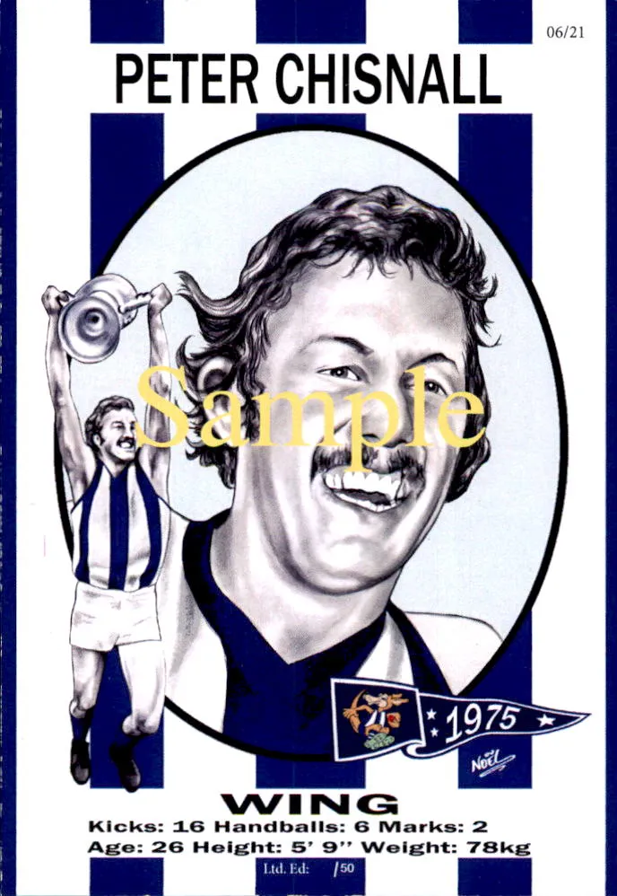 North Melbourne Kangaroos 1975 Premiers Card Set by Noel