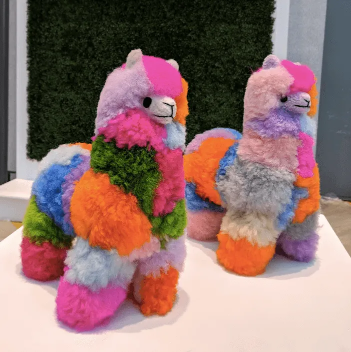 Rainbow Llama - Limited Edition