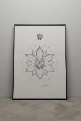 SEED OF LIFE - A3 BLACK FRAME