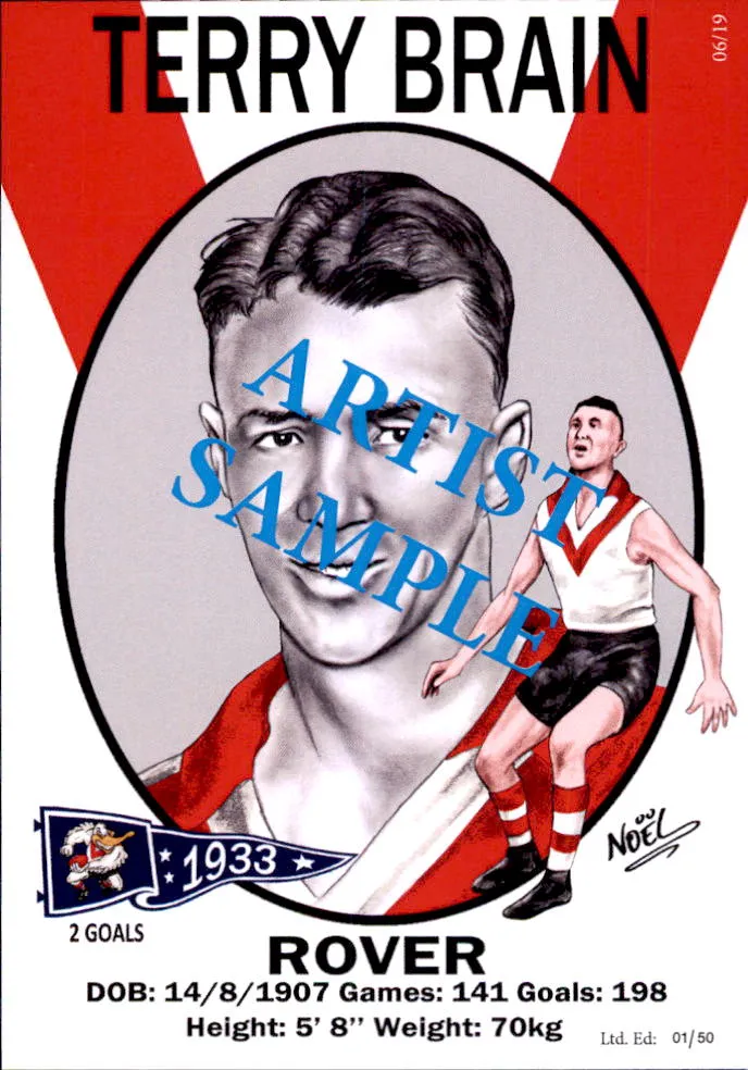 South Melbourne Swans 1933 Premiers Card Set by Noel