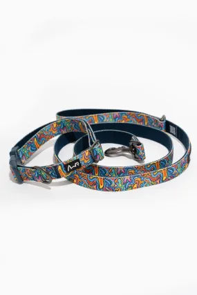 Splatisfaction Dog Collar & Leash Set